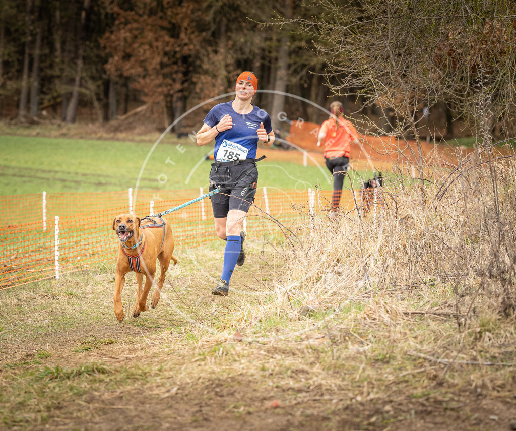 DV3A2580 | Hundefotografie, Tierfotograf, Pfotenfotografie, Fotoshooting Hund, Hunde Portrait, Hundesport, Hundeportraits, Heideshooting, Hunde, Sportfotograf, Hundefotograf, Turnierhundsport, THS,  - Realisiert mit Pictrs.com