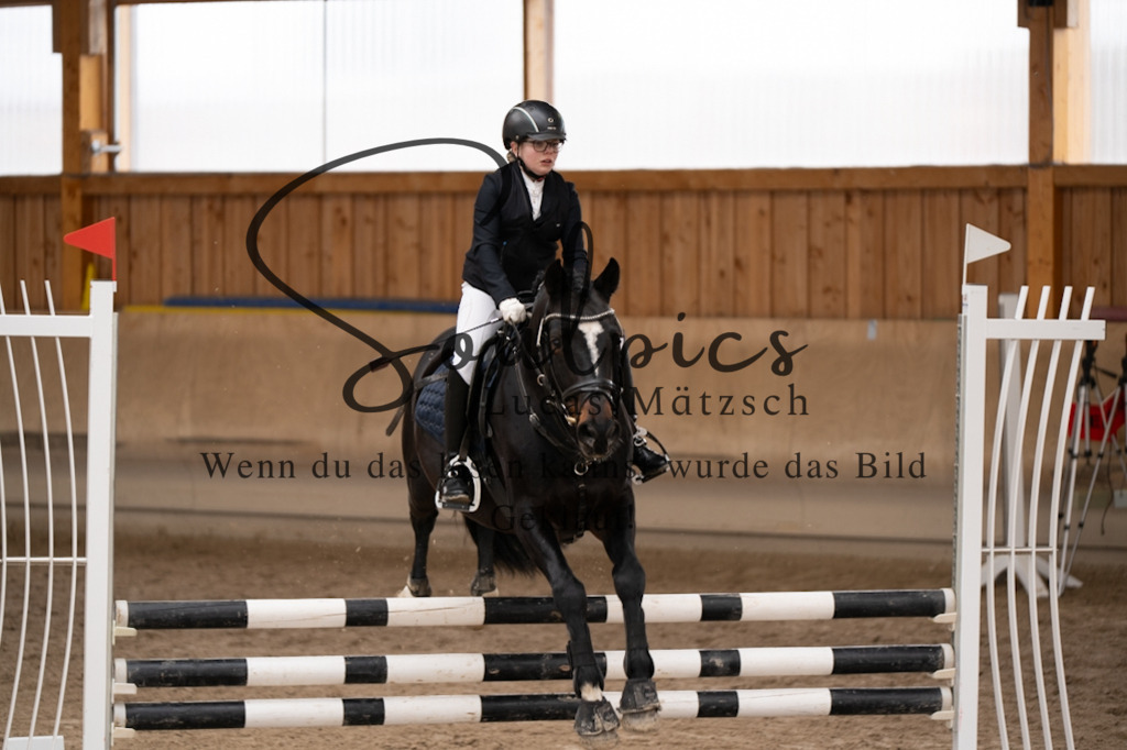 A7V00318 | Pferdefotograf