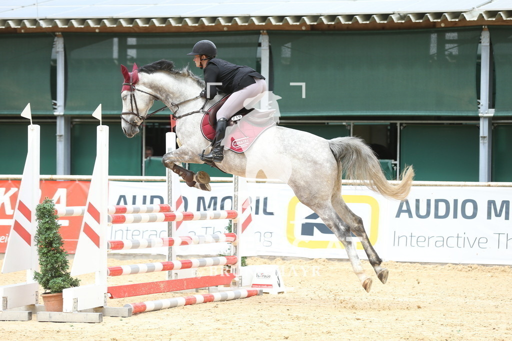 DL2Q5953 | Willkommen bei Brunnmayr - Design & Fotografie – Ihrem Spezialisten für Reitturniere und Pferdeveranstaltungen in Oberösterreich, Salzburg und Bayern! Seit über 17 Jahren sind wir leidenschaftlich dabei.