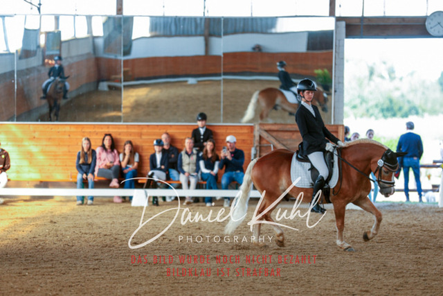 _62_7861 | Turniersportfotografie; Pferdefotografie; Dressurfotografie