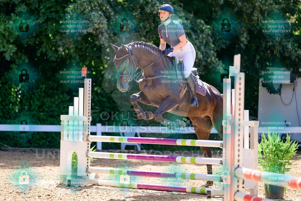 29082026-Giesenbach-Prfg10-0791 | Fokus Hufschlag Fotografie - Realisiert mit Pictrs.com