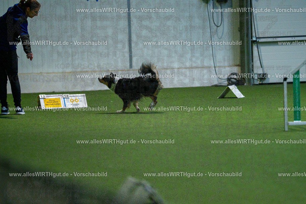 7R503153 | Professionelle Tierfotografie in Mönchengladbach von Daniel Wirth (allesWIRTHgut). Liebevolle & natürliche Bilder von Hunden & Katzen für unvergessliche Erinnerungen.