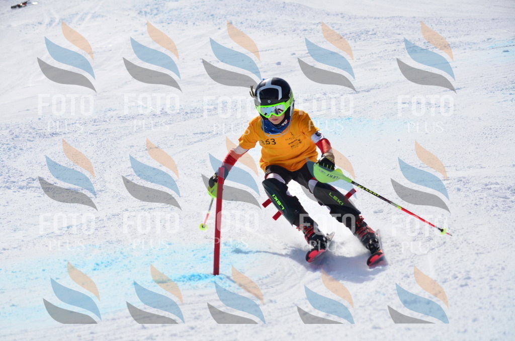 C9802 | holidayphoto