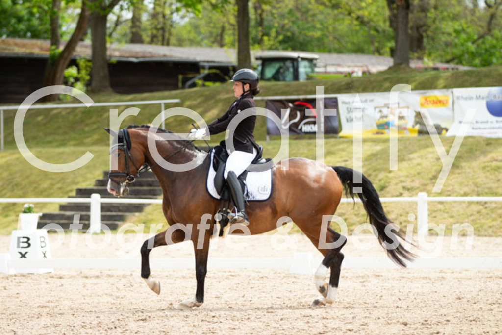 IMG_2817 | Creatify Fotografie