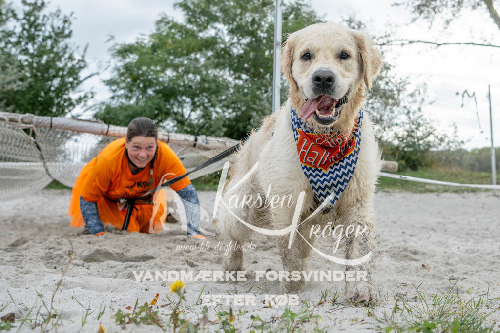 1539_ZZ96323 | kk-dogfotos