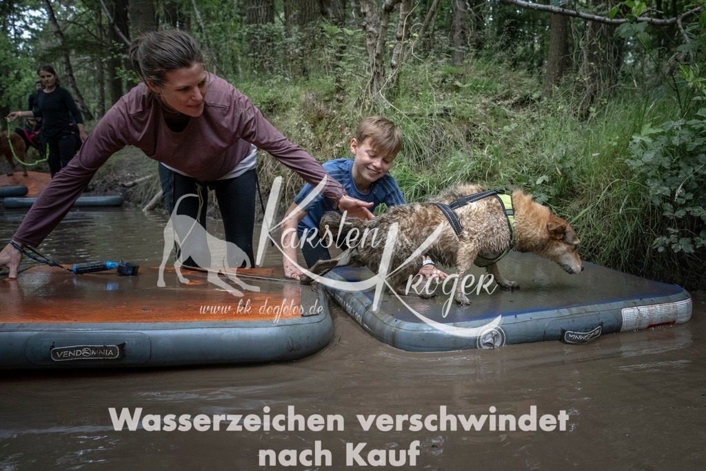 1220_ZZ98591T | kk-dogfotos
