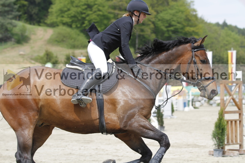 _MG_3874 | equestrian-live-com