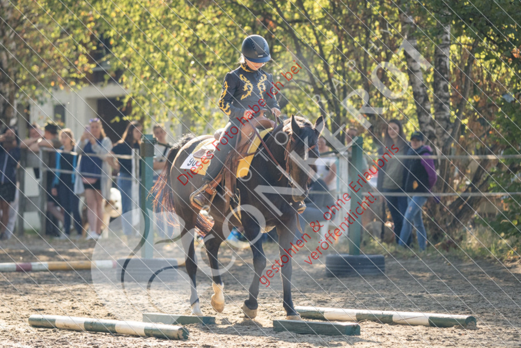 IMG_6371 | Sport-, Event- und Tierfotos in Profiqualität. Einfach auswählen, bestellen und herunterladen. Dein Moment – perfekt festgehalten.