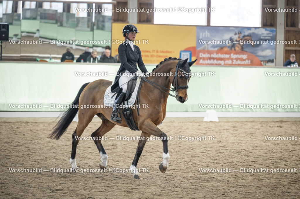 _D5A6180 | Emotionale Pferde- & People-Fotografie rund um Heidelberg, Leimen & Umgebung. Natürliche Fotos von Pferd, Mensch & Familie. Jetzt Termin sichern!