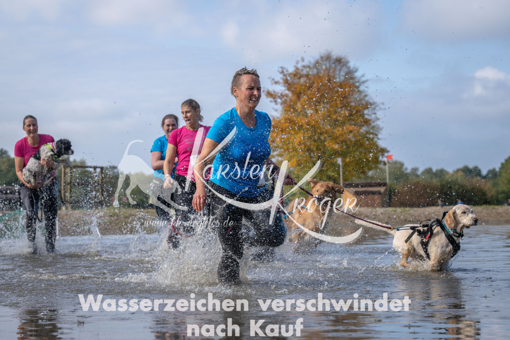1138_ZZ93601 | kk-dogfotos