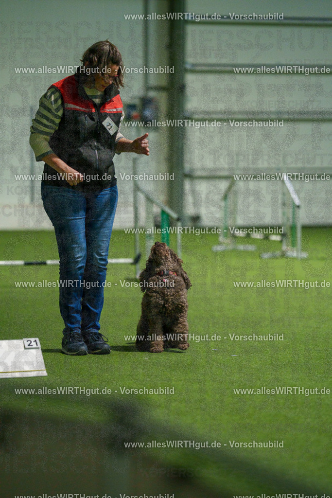 7R508386 | Professionelle Tierfotografie in Mönchengladbach von Daniel Wirth (allesWIRTHgut). Liebevolle & natürliche Bilder von Hunden & Katzen für unvergessliche Erinnerungen.
