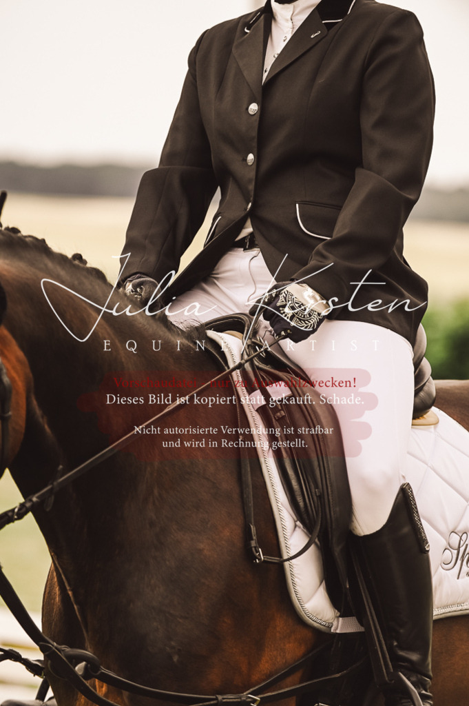 DSC_4933 | Pferde- und Turnierfotografie in Westsachsen. Pferdeportraits, Auftragszeichnungen und intuitive Kunst.