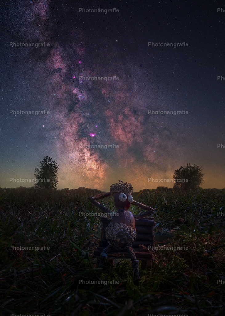 Fipps-ist-weg2 | Photonengrafie´s Shop - Realisiert mit Pictrs.com