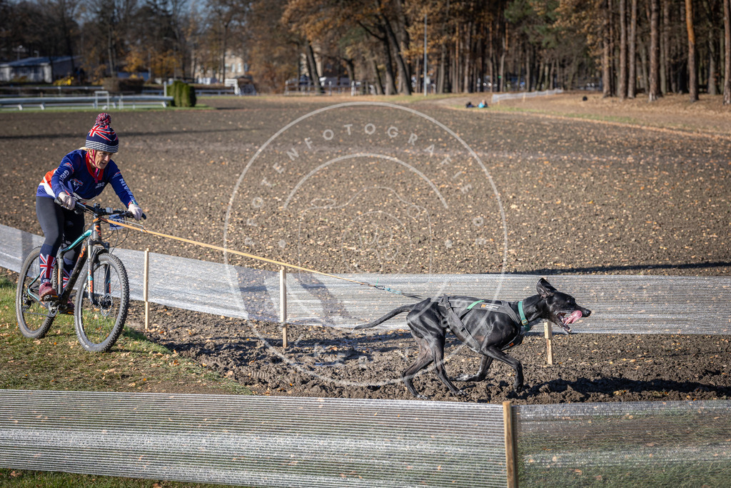 CaniXpix_DV3A6866 | Hundefotografie, Tierfotograf, Pfotenfotografie, Fotoshooting Hund, Hunde Portrait, Hundesport, Hundeportraits, Heideshooting, Hunde, Sportfotograf, Hundefotograf, Turnierhundsport, THS,  - Realisiert mit Pictrs.com
