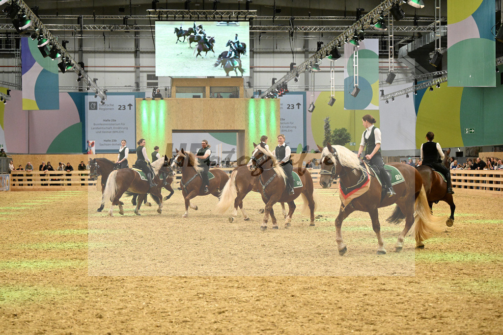 Schauprogramm_Dressurquadrille_1261104 | hf-fotografie - Realisiert mit Pictrs.com