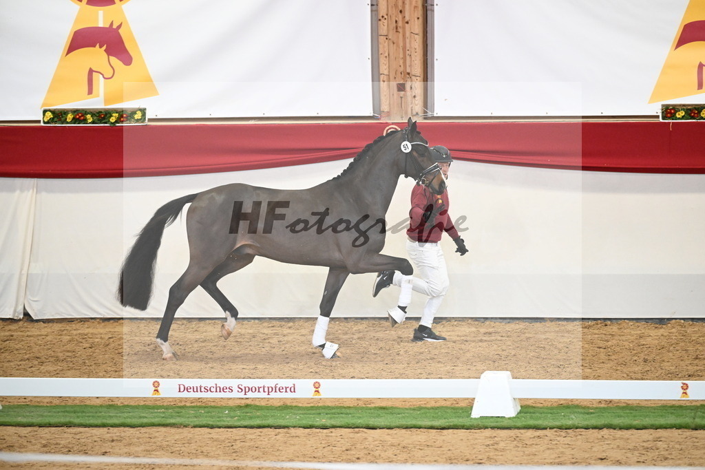 Kat.-Nr. 51 v. Donkey Boy_Lenzen_2250202 | hf-fotografie - Realisiert mit Pictrs.com