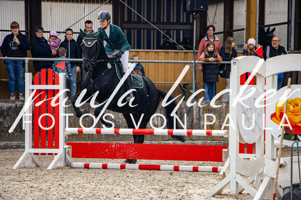 IMG_3541 | Erleben Sie dynamische Sport- und emotionale Tierfotografie in Süddeutschland mit Fotos von Paula. Spezialisiert auf Pferde- und Hundefotografie sowie Sportevents. Kontaktieren Sie mich für einzigartige und ausdrucksstarke Bilder Ihrer besonderen Momente. - Realisiert mit Pictrs.com