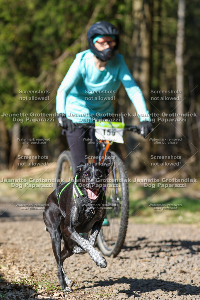 Dog Paparazzi - VCC26-119 | Dog Paparazzi Jeanette Grottendiek Fotografie & Videografie - Realisiert mit Pictrs.com