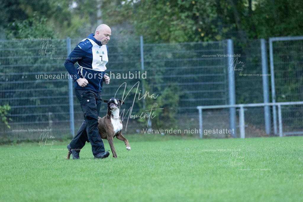 _16A4419 | Einzigartige Fotos von Hunden & Menschen –Actionfotos, Portraits, Vereinsaufnahmen & Paarshootings – authentisch, lebendig & mit Herz.