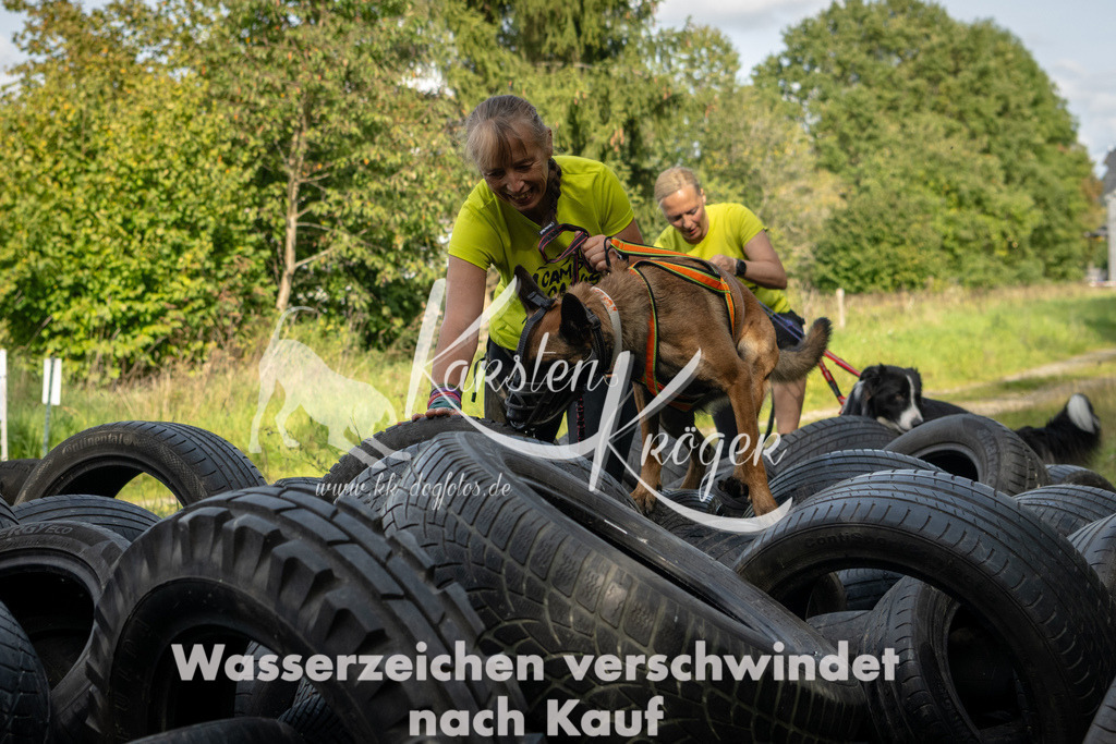 1535_ZZ91779 | kk-dogfotos