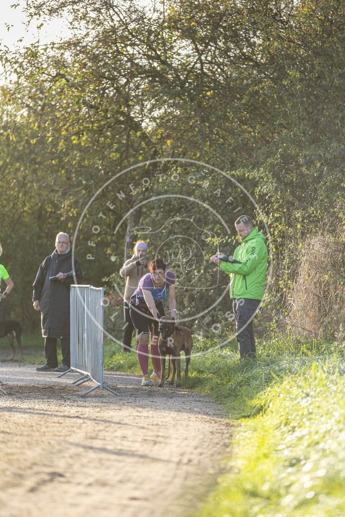 Pfotenfotografie.de_DV3A2596 | Hundefotografie, Tierfotograf, Pfotenfotografie, Fotoshooting Hund, Hunde Portrait, Hundesport, Hundeportraits, Heideshooting, Hunde, Sportfotograf, Hundefotograf, Turnierhundsport, THS, canicross - Realisiert mit Pictrs.com