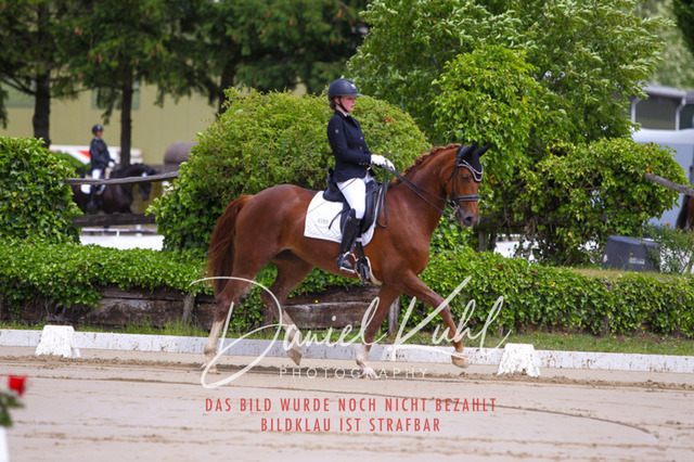 DKP40691 | Turniersportfotografie; Pferdefotografie; Dressurfotografie