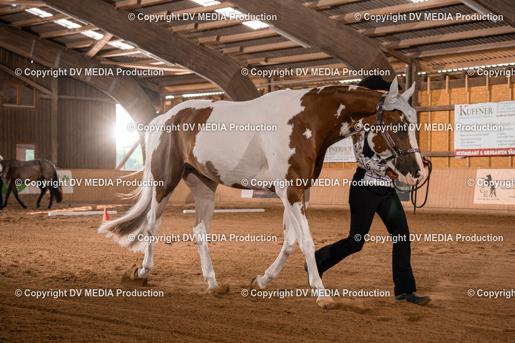 NE100066 | dv-media-shop - Realisiert mit Pictrs.com