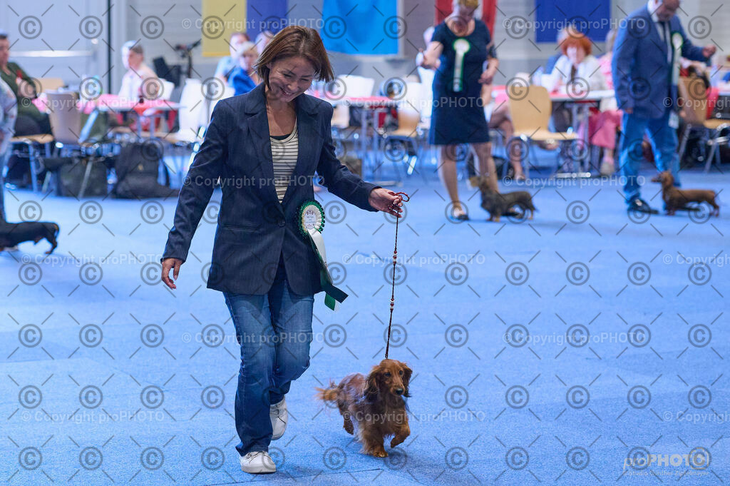 202406_ÖKV-IHA-Tulln24_DSC_3906 | proPHOTO - Realisiert mit Pictrs.com