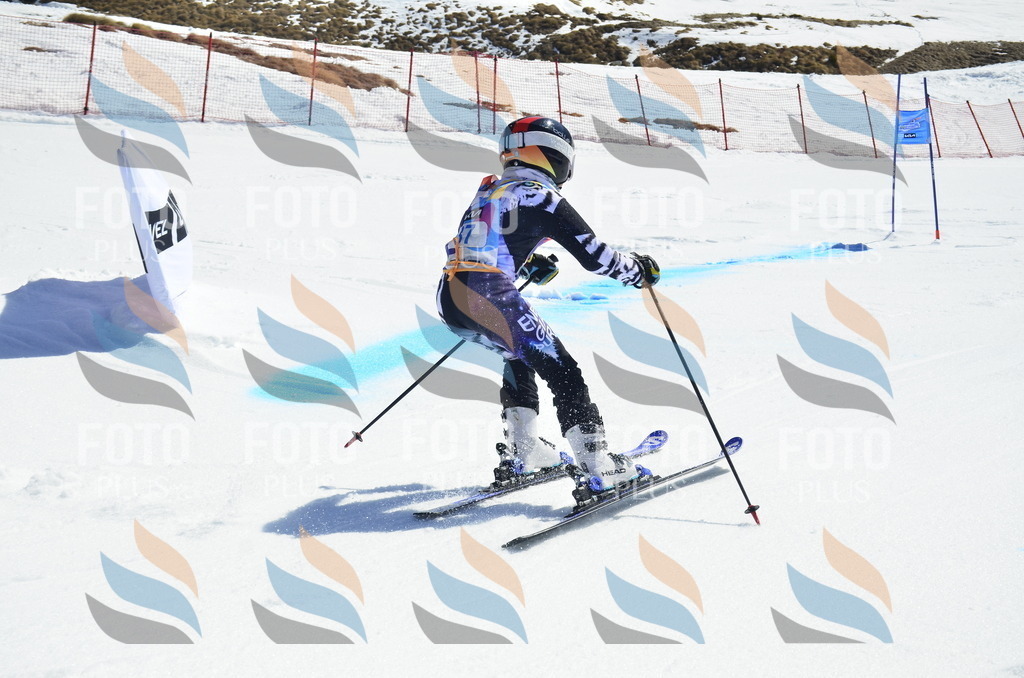 _ELE0033 | holidayphoto