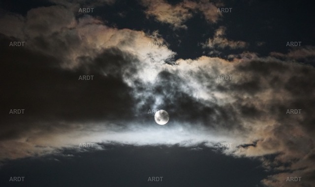 Momente 21 | ARDT Foto Kunst