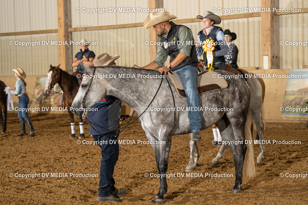 LAU01081 | dv-media-shop - Realisiert mit Pictrs.com