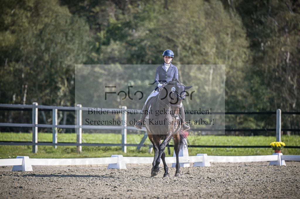 DOS_2656 | Entdecke hochwertige Reitturnierfotos von Foto Oger. Professionell, emotional und authentisch – jetzt Lieblingsmomente im Shop bestellen.Deutschlandweite Turnierfotografie. - Realisiert mit Pictrs.com