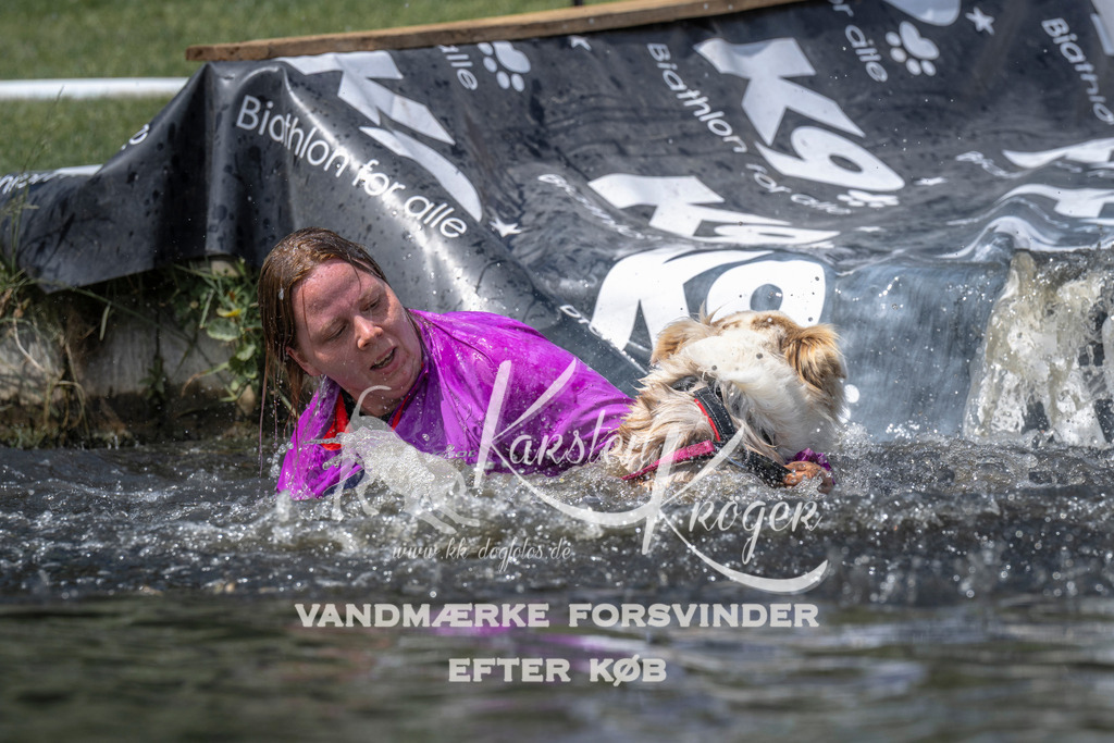 1217_ZZ96462 | kk-dogfotos