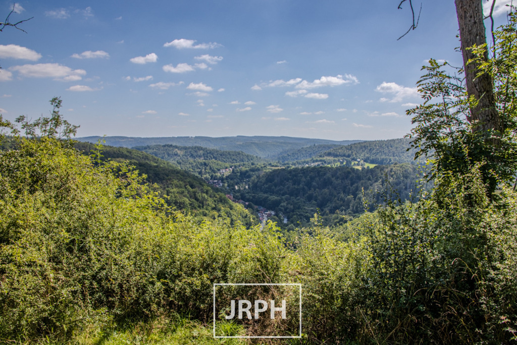 IMG_7988 | jrph - Realisiert mit Pictrs.com