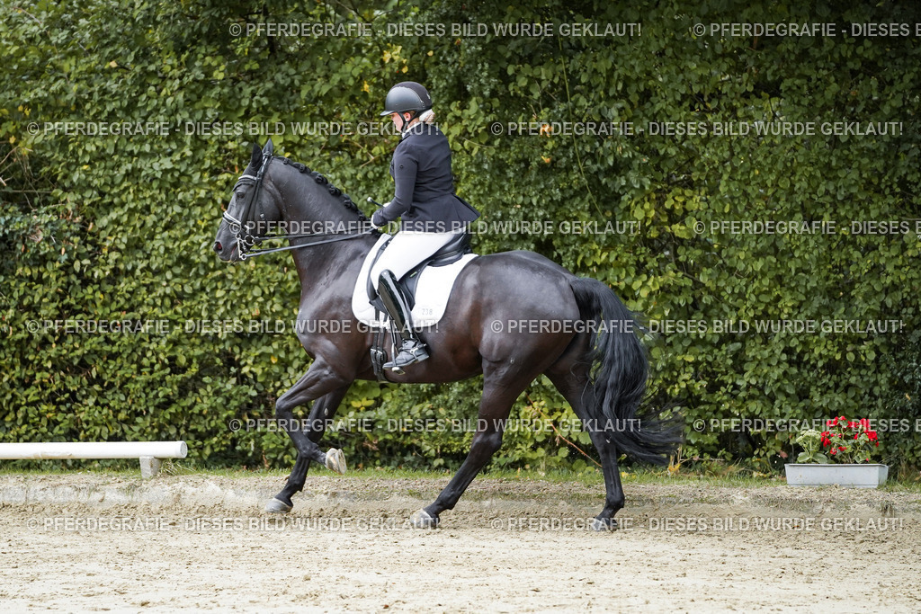 DSC09428 | Pferdegrafie