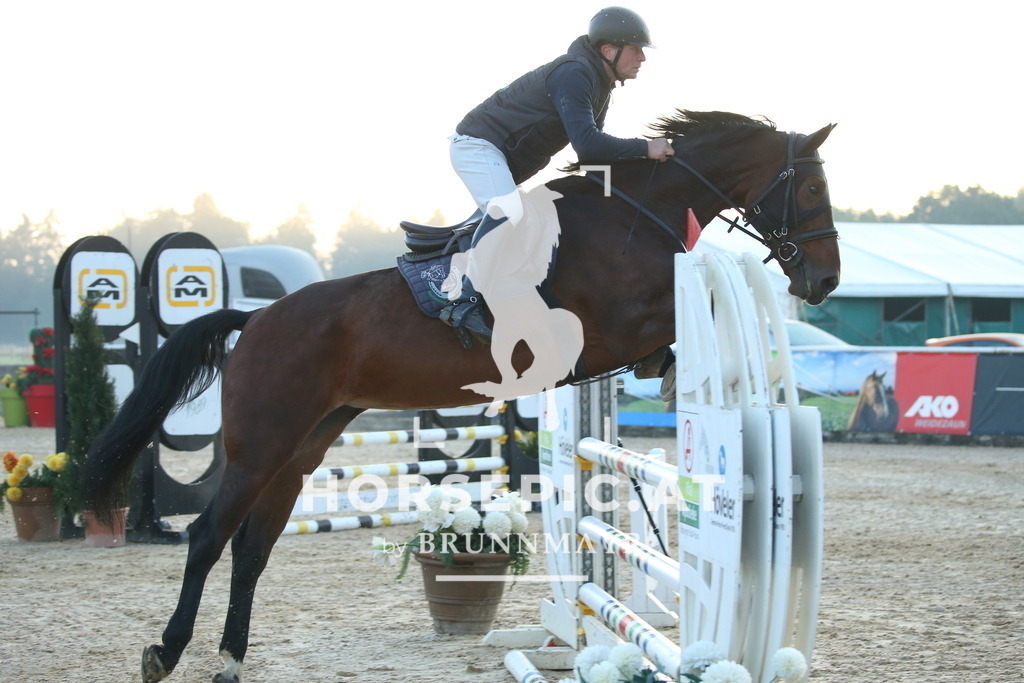 DL2Q0223 | Willkommen bei Brunnmayr - Design & Fotografie – Ihrem Spezialisten für Reitturniere und Pferdeveranstaltungen in Oberösterreich, Salzburg und Bayern! Seit über 17 Jahren sind wir leidenschaftlich dabei.