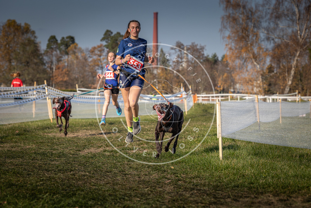 CaniXpix_0L8A9082 | Hundefotografie, Tierfotograf, Pfotenfotografie, Fotoshooting Hund, Hunde Portrait, Hundesport, Hundeportraits, Heideshooting, Hunde, Sportfotograf, Hundefotograf, Turnierhundsport, THS,  - Realisiert mit Pictrs.com