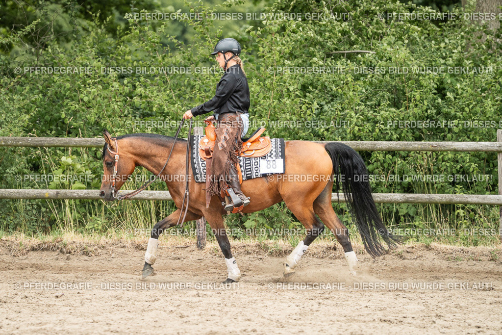 DSC04188 | Pferdegrafie