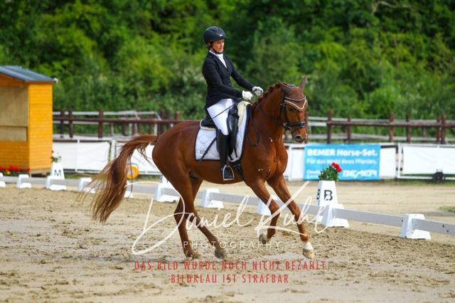 DKP45594 | Turniersportfotografie; Pferdefotografie; Dressurfotografie