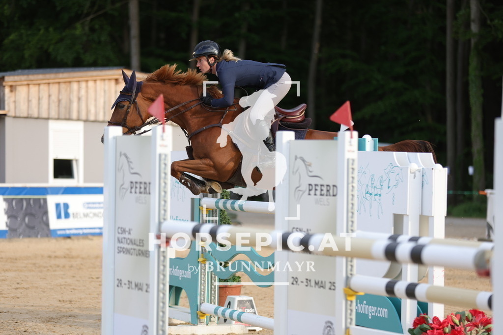 0P6A8776 | Willkommen bei Brunnmayr - Design & Fotografie – Ihrem Spezialisten für Reitturniere und Pferdeveranstaltungen in Oberösterreich, Salzburg und Bayern! Seit über 17 Jahren sind wir leidenschaftlich dabei.
