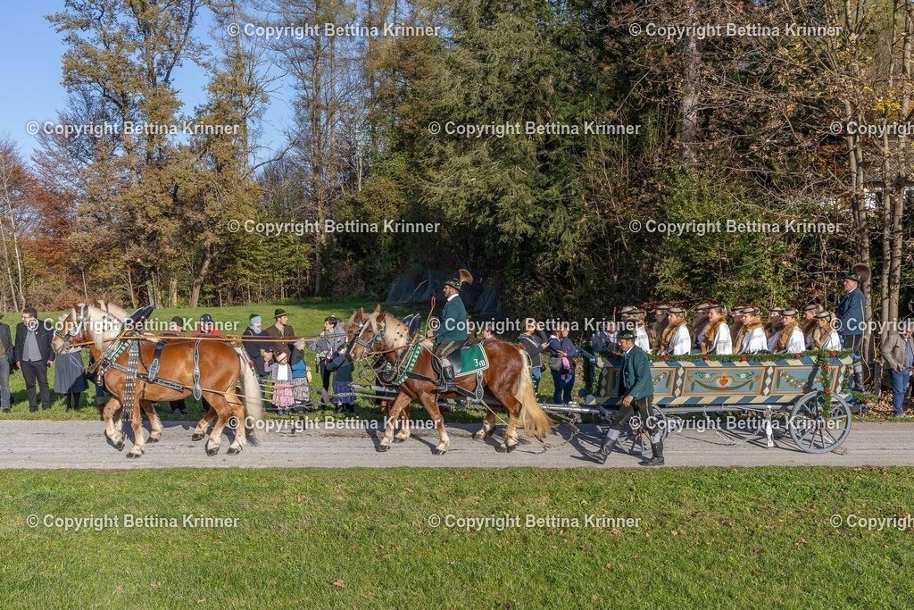 LBT24-307 | foto-bettina-krinner - Realisiert mit Pictrs.com