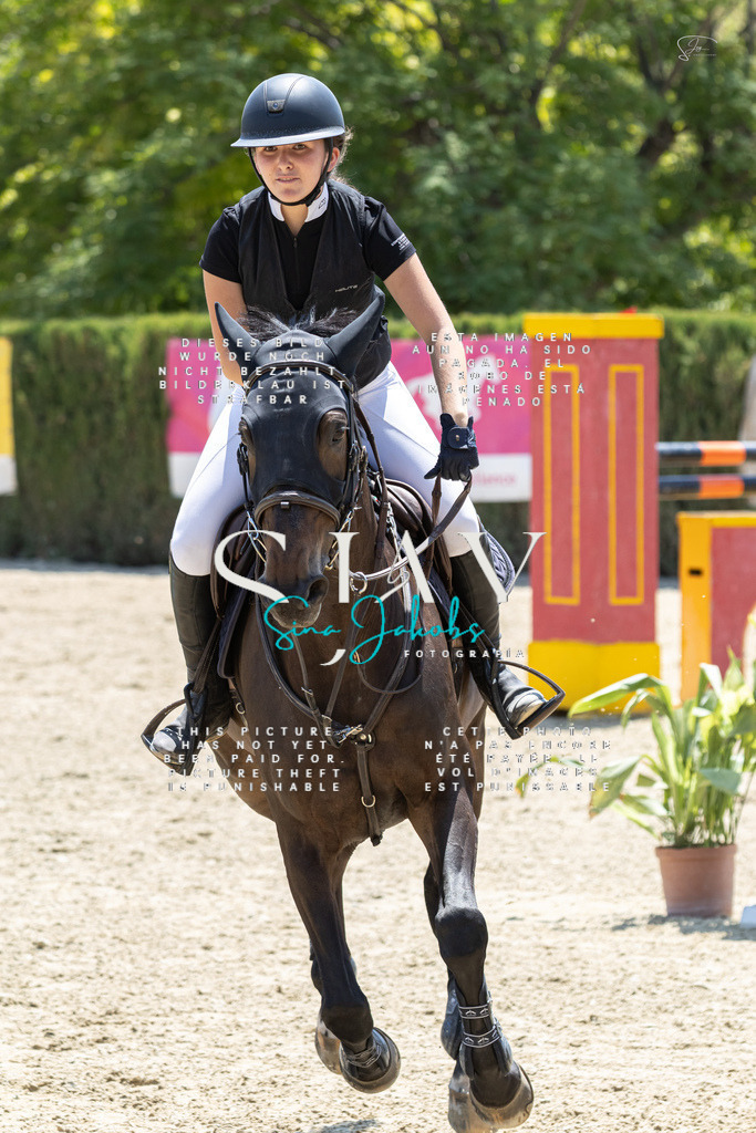 IMG_7710 | s-jay-photography - Realisiert mit Pictrs.com