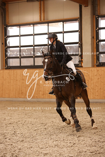 1J2A4564Louisa Schneider_ Viva Willy_ Kn493_ Hohen Wieschendorf_ Glantz | Foto- und Videografie für alles rund ums Pferd. Hochwertige Bilder und Videos vom Spring- und Dressurreiten, Voltigieren & mehr. Jetzt aktuelle Veranstaltungen und Preise im Shop ansehen. - Realisiert mit Pictrs.com