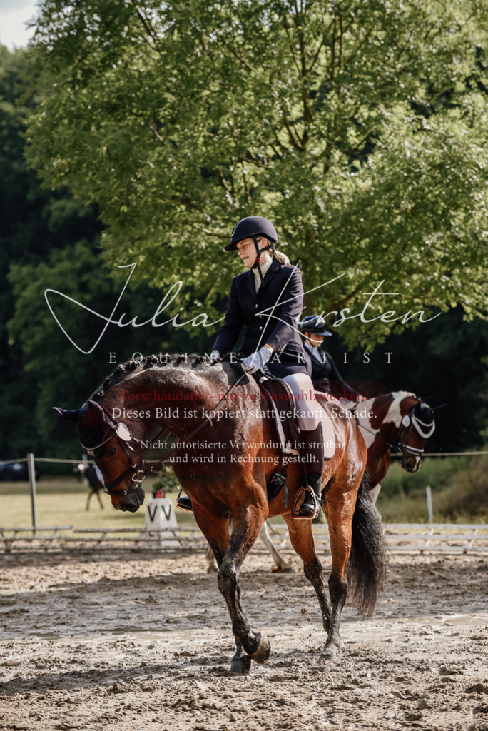 DSC_8706 | Pferde- und Turnierfotografie in Westsachsen. Pferdeportraits, Auftragszeichnungen und intuitive Kunst.
