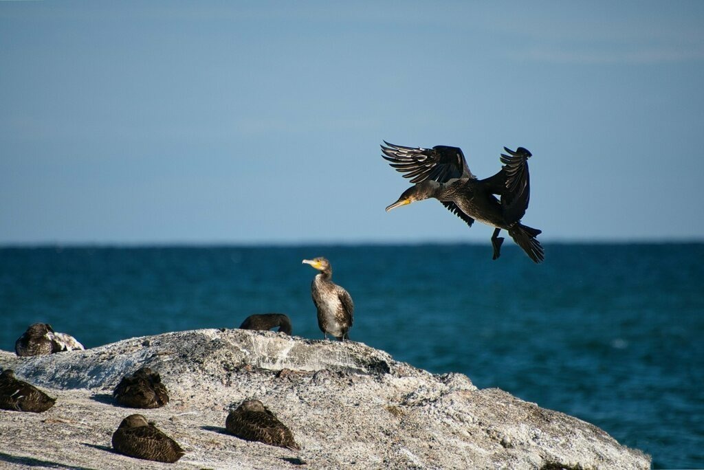 DSC_3606 | Unvergessliche Erinnerungen in Bildern festgehalten! Ob Hochzeit, Shooting oder Landschaft  - Ich bin dein Fotograf in Erfurt und Umgebung! Photo-Rauch | Sandro Rauch - Realisiert mit Pictrs.com