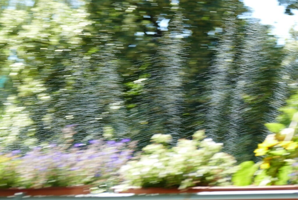 P3760090_a | Annaeherungen - Realisiert mit Pictrs.com