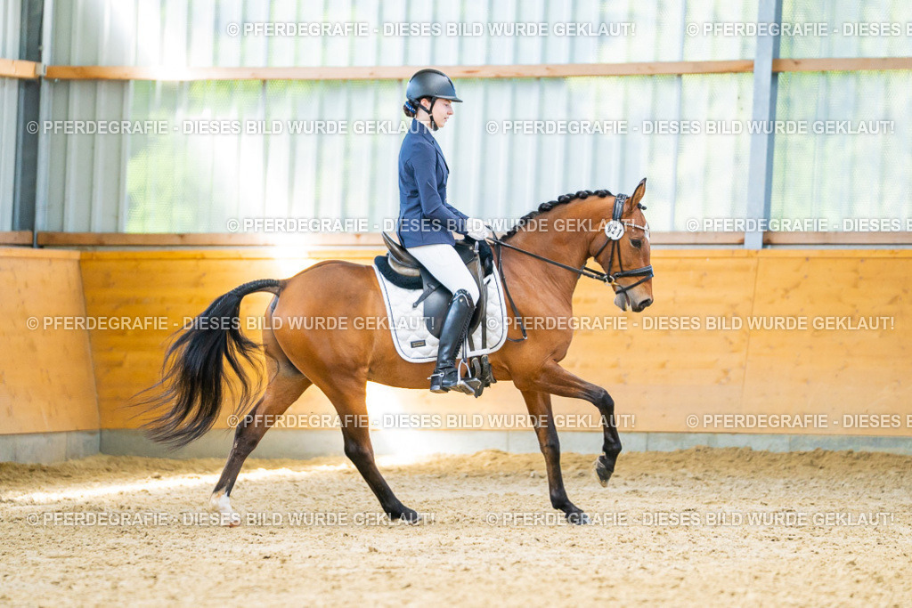 DSC07919 | Pferdegrafie