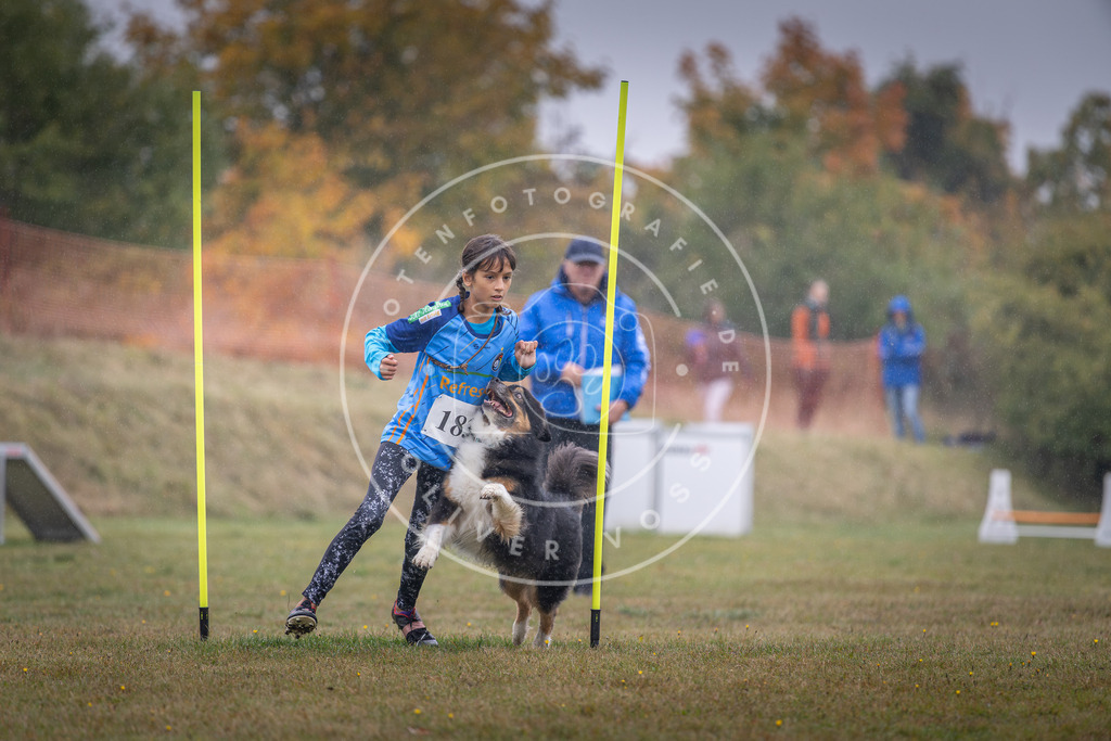 Pfotenfotografie_DV3A0008 | Hundefotografie, Tierfotograf, Pfotenfotografie, Fotoshooting Hund, Hunde Portrait, Hundesport, Hundeportraits, Heideshooting, Hunde, Sportfotograf, Hundefotograf, Turnierhundsport, THS,  - Realisiert mit Pictrs.com
