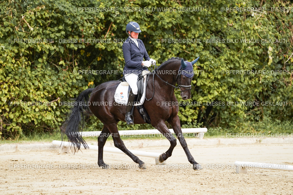 DSC01101 | Pferdegrafie