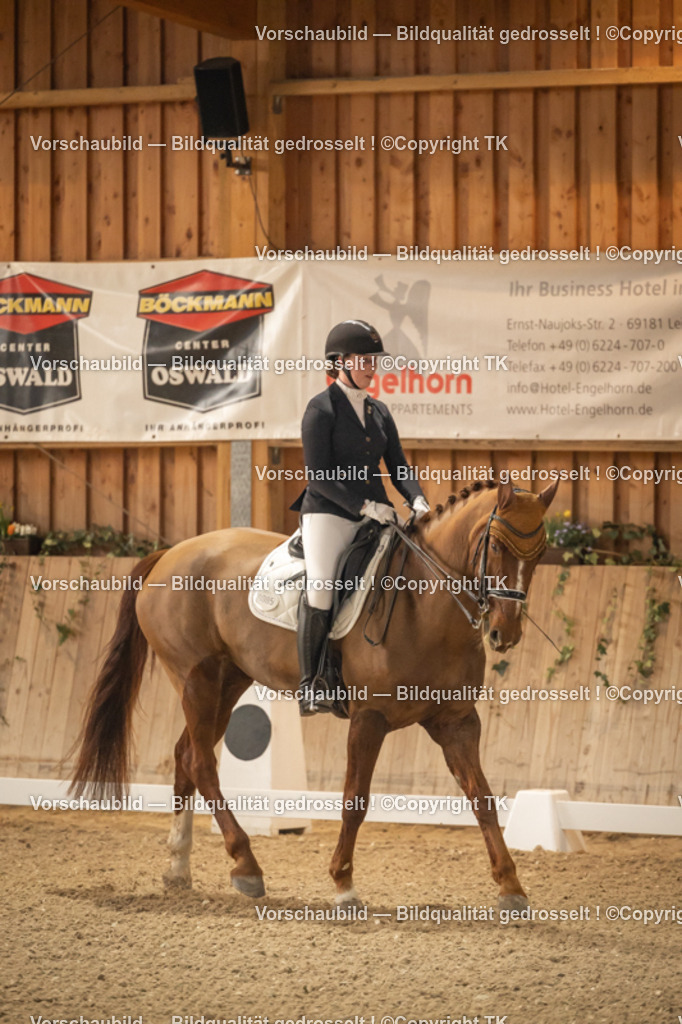_D5A3589 | Emotionale Pferde- & People-Fotografie rund um Heidelberg, Leimen & Umgebung. Natürliche Fotos von Pferd, Mensch & Familie. Jetzt Termin sichern!
